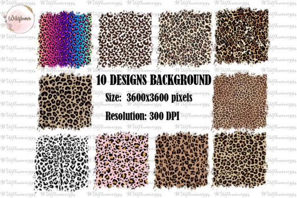 Download Leopard Background PNG - Png Collection