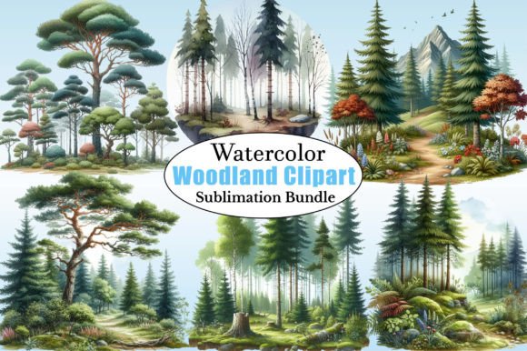 Download Watercolor Forest Clipart - Woodland Png - Png Collection