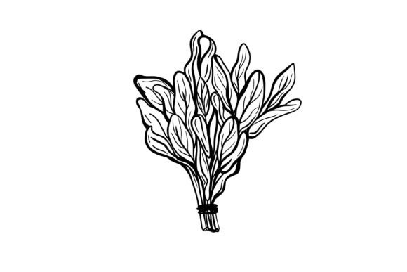Download Sage Svg Png - Png Collection