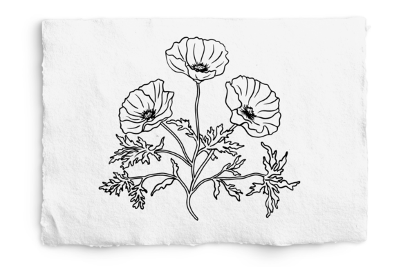 Download California Poppy SVG and PNG, Glowforge - Png Collection