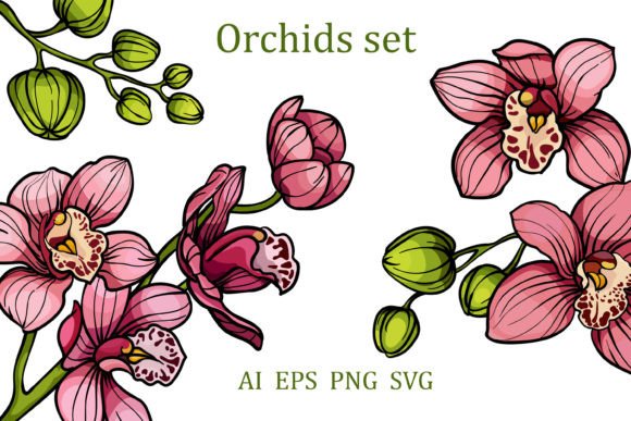 Download Pink Orchid Flowers Clipart SVG, PNG, EP - Png Collection